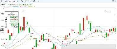 国外期货老虎(国外期货交易)_https://hz1.wpmee.com_德指直播室_第1张