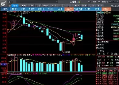 国内期货指数看沪深300(期货沪深300指数走势图)_原油直播室_第1张_恒指直播室 国内期货指数看沪深300(期货沪深300指数走势图)_https://hz1.wpmee.com_原油直播室_第1张