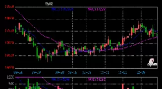沪金1805期货价格(沪金2106期货)_https://hz1.wpmee.com_原油直播室_第1张