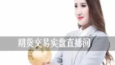 丽江德指dax国际期货直播间(德指期货行情走势图)_https://hz1.wpmee.com_恒指直播室_第1张