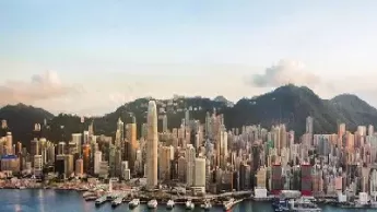 决定期货价格涨跌的力量是什么(决定期货涨跌的主要因素)_https://hz1.wpmee.com_期货文章_第1张