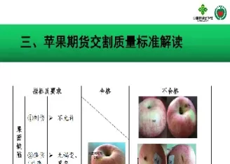 苹果期货验收标准(苹果期货的标准)_期货文章_第1张_恒指直播室 苹果期货验收标准(苹果期货的标准)_https://hz1.wpmee.com_期货文章_第1张