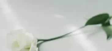 期货就是那么简单(期货就是那么简单吗)_原油直播室_第1张_恒指直播室 期货就是那么简单(期货就是那么简单吗)_https://hz1.wpmee.com_原油直播室_第1张