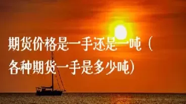 期货显示的价格是一手(期货显示的价格是一手价格吗)_https://hz1.wpmee.com_黄金直播室_第1张