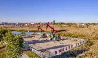大庆原油指数直播间(大庆原油价格指数数据)_https://hz1.wpmee.com_原油直播室_第1张