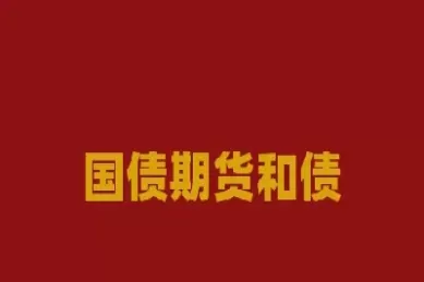 债券基金买国债期货(债券基金买国债期货有风险吗)_https://hz1.wpmee.com_恒指直播室_第1张