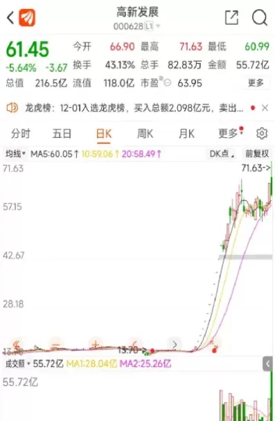 高新发展参股期货(高新发展增资倍特期货)_https://hz1.wpmee.com_德指直播室_第1张