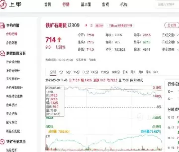 今天铁矿石期货价格(今天铁矿石期货价格查询)_https://hz1.wpmee.com_黄金直播室_第1张
