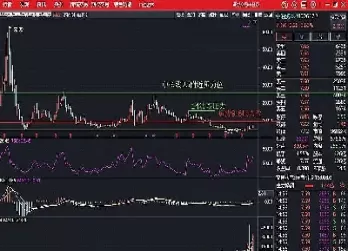期货长线投资者做几个品种(期货长线投资者做几个品种交易)_https://hz1.wpmee.com_德指直播室_第1张