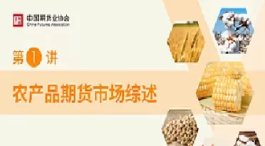 美国农产品期货市场功能及借鉴(美国农产品期货品种)_https://hz1.wpmee.com_恒指直播室_第1张