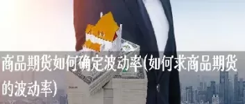 商品期货波动率(商品期货波动率排名)_https://hz1.wpmee.com_原油直播室_第1张